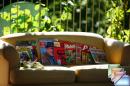 Ma vie de grenier * (25 Diapositives)